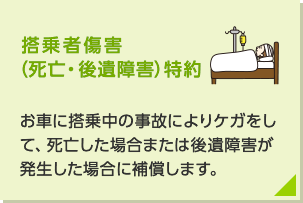 搭乗者傷害(死亡・後遺障害)特約:お車に搭乗中の事故によりケガをして、死亡した場合または後遺障害が生じた場合に補償します。