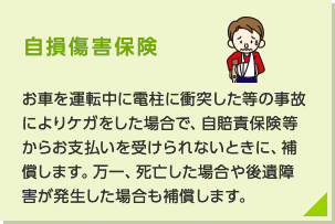 自損傷害保険:お車を運転中に電柱に衝突した等の事故によりケガをした場合で、自賠責保険等からお支払いを受けられないときに、補償します。万一、死亡した場合や後遺障害が生じた場合も補償します。