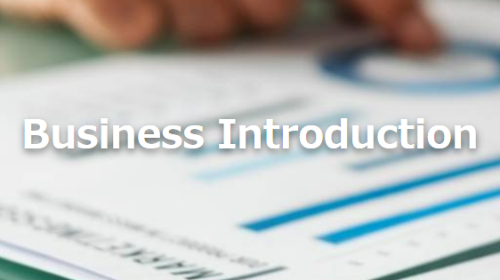 Business Introduction